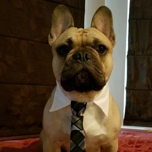 Meet your Posher, Larissa